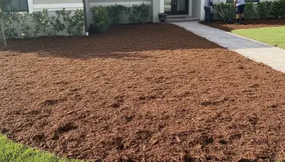 Freshly installed mulch beds with clean edges and rich color by Chop Chop Landscaping in Tampa, FL