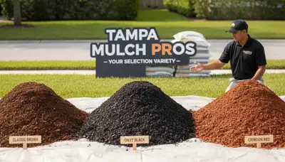 Mulch color variety display with brown, black, and red options for Tampa, FL landscaping designs